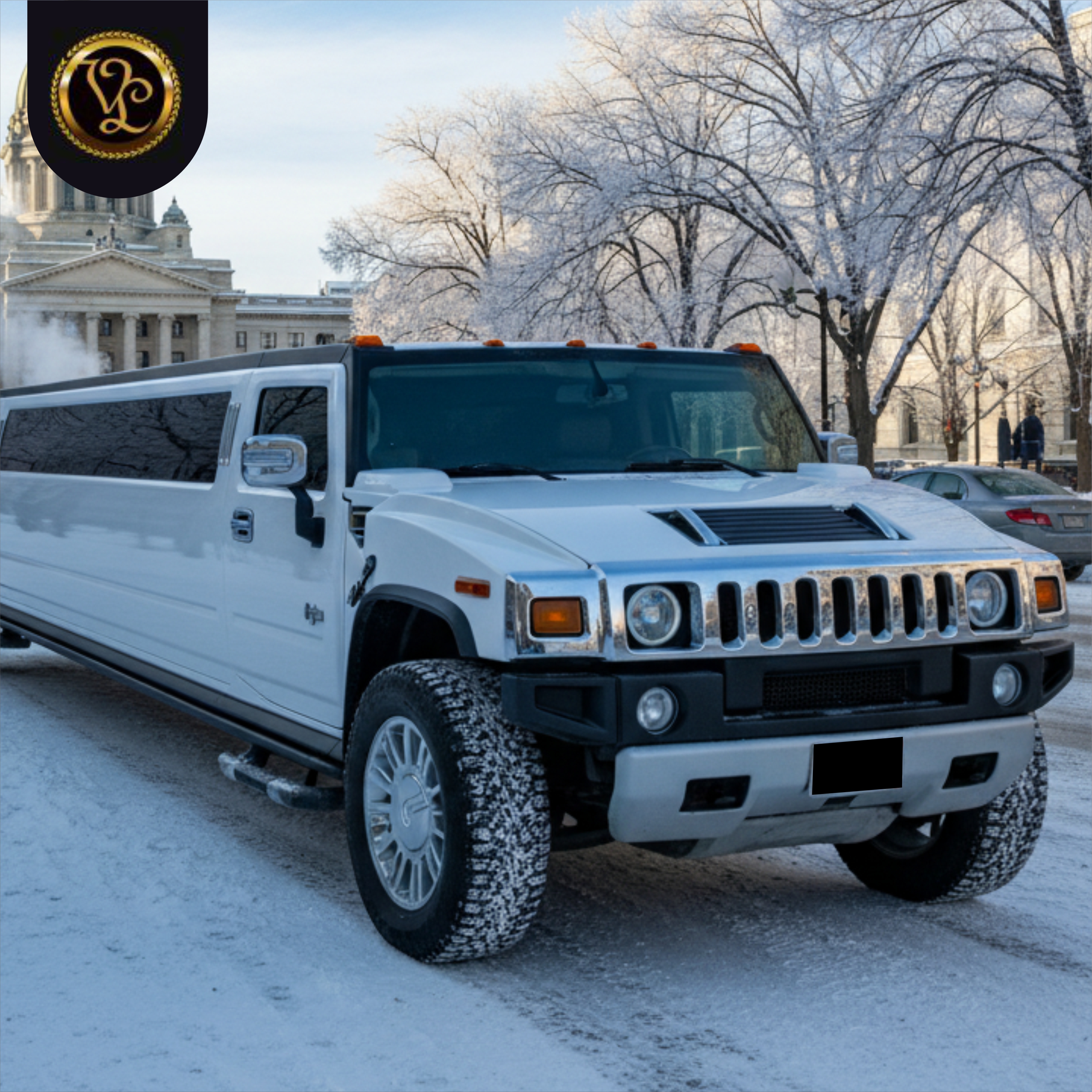 Limo Service Stonewall