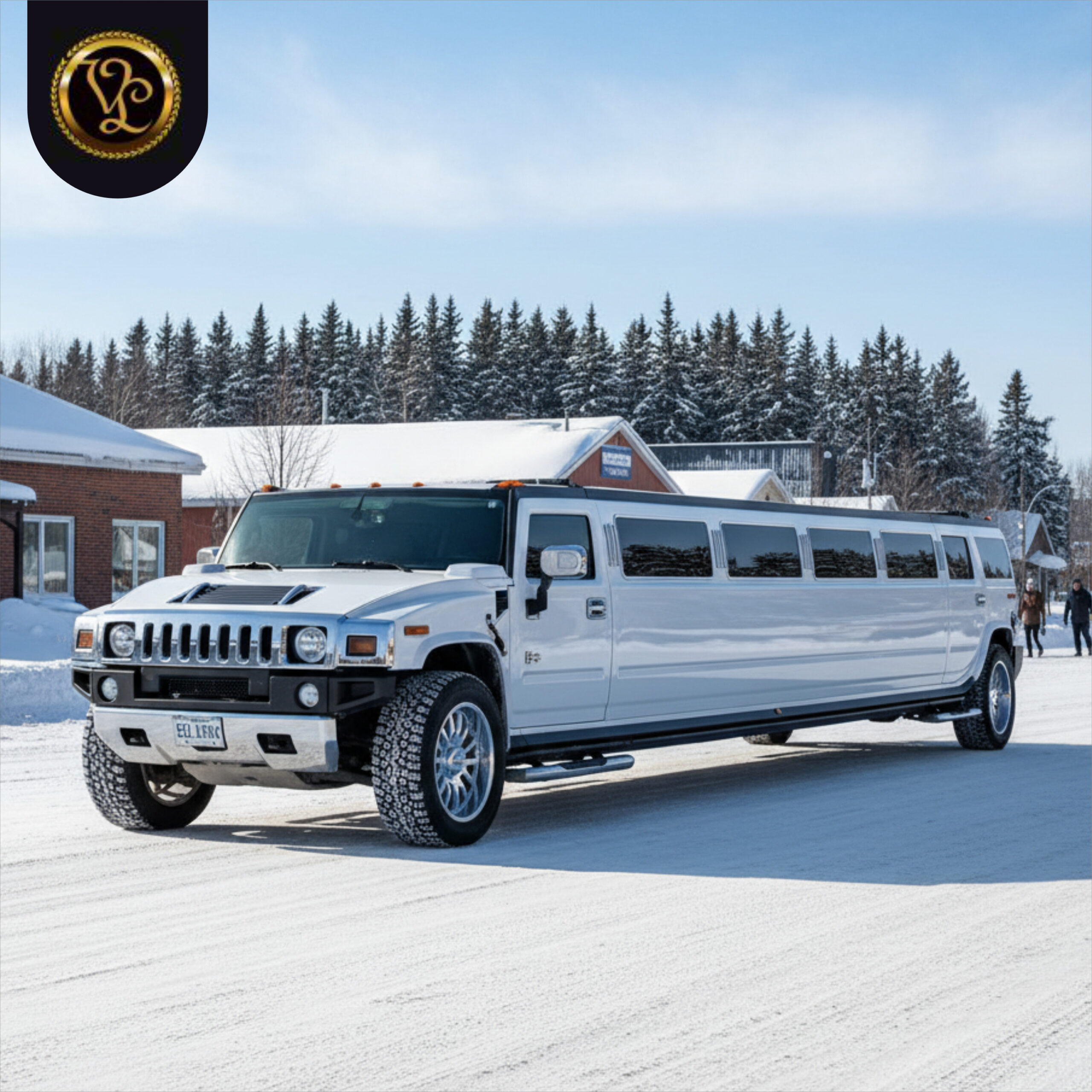 Limo Service Selkirk